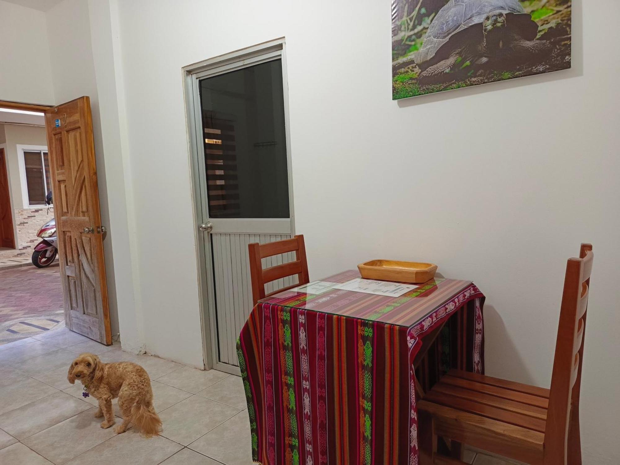 Teresita'S House Suites Con Cocina Privada Пуэрто-Бакерисо-Морено Экстерьер фото